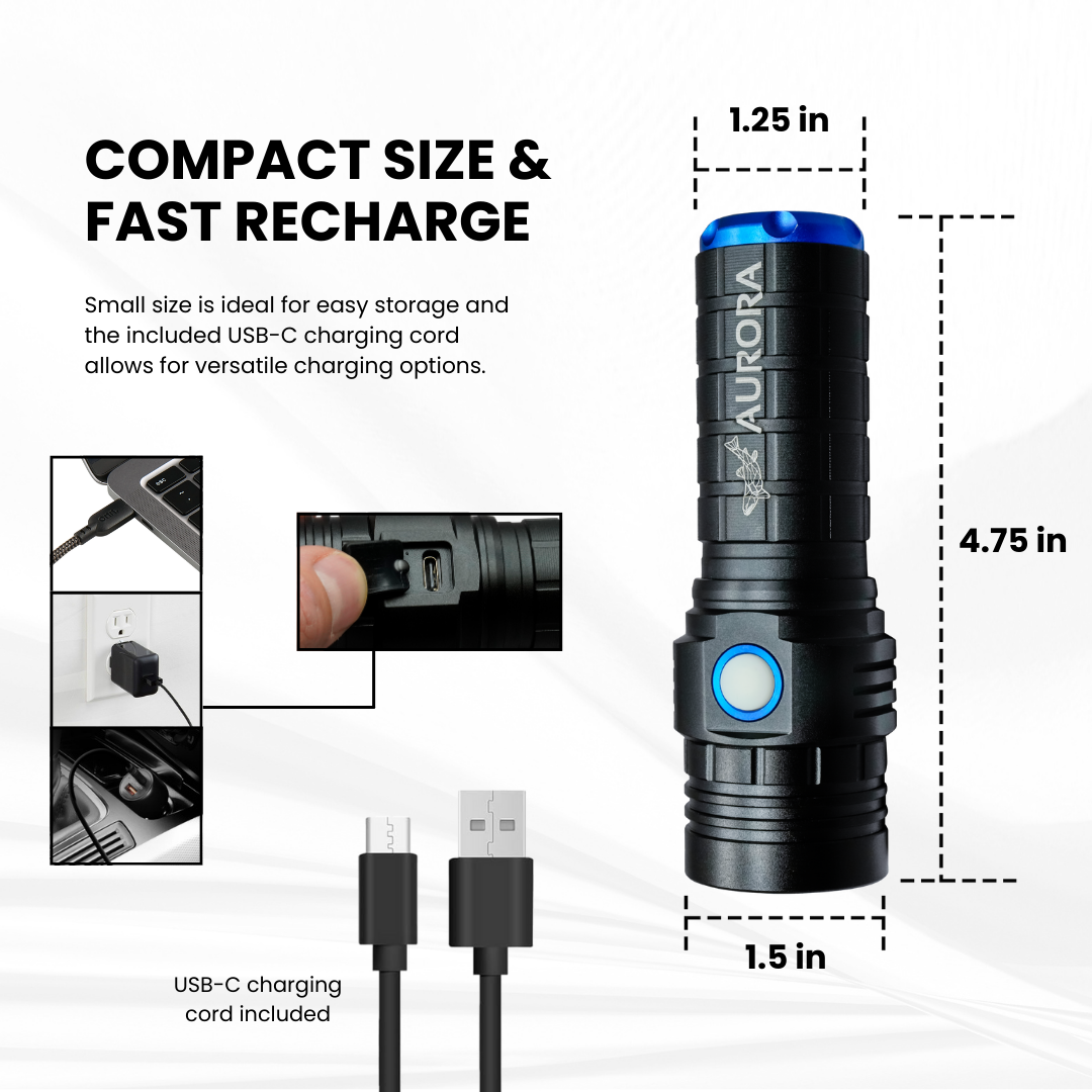 Large UV Flashlight