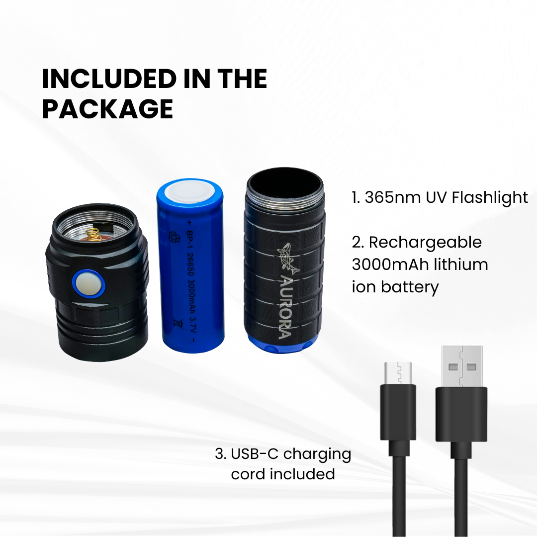 Large UV Flashlight